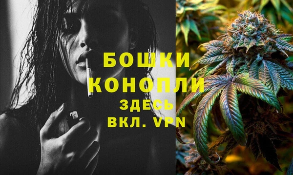 тгк Саяногорск