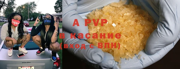 стаф Сатка