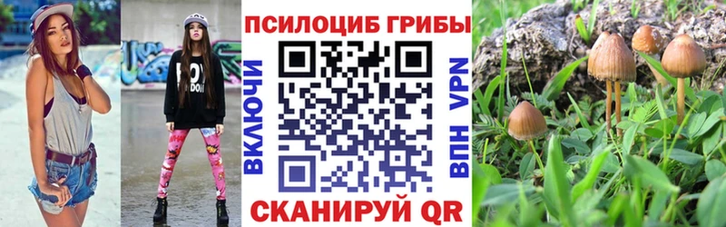 кракен вход  Петров Вал  Псилоцибиновые грибы Cubensis  хочу наркоту 